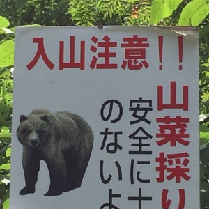 北海道クマに注意