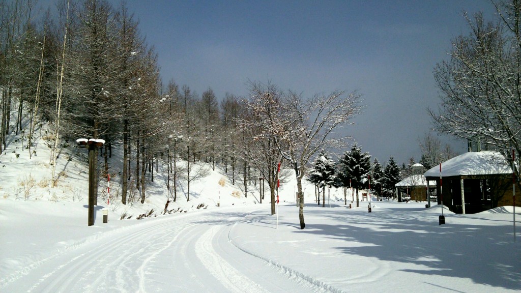 北海道ファットバイクコース