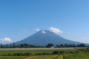 ニセコサイクリング