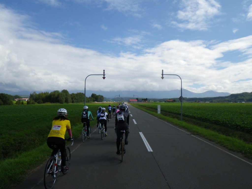 美瑛サイクリングコース
