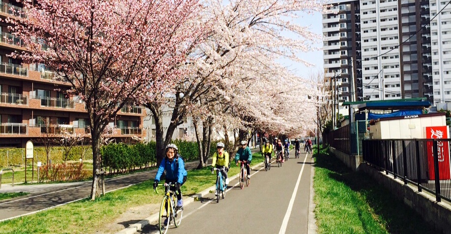2015桜ライド