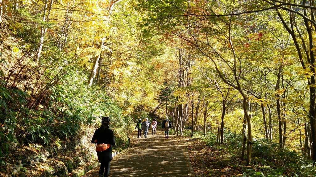 北海道紅葉サイクリング