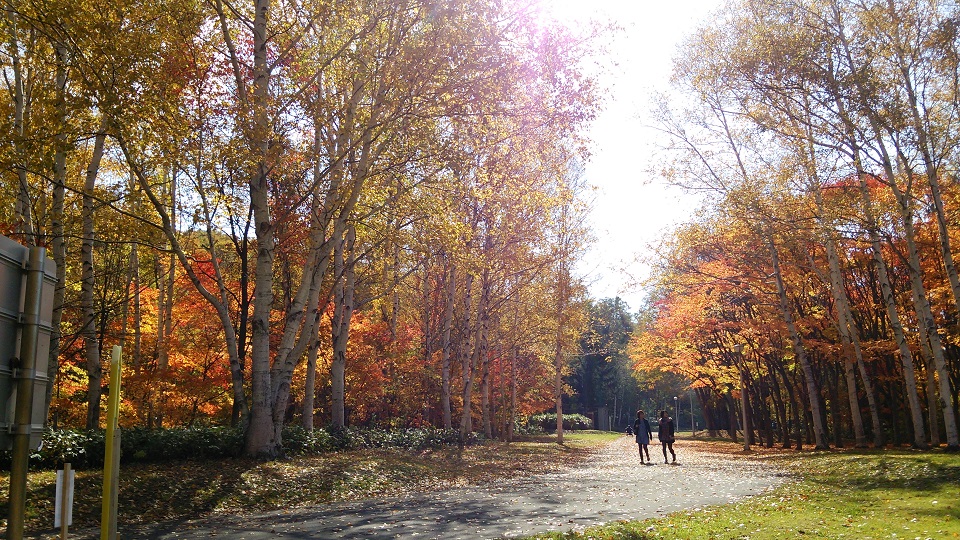 makomanaipark