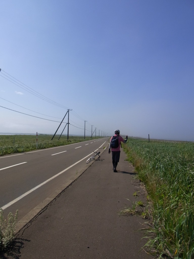 野付半島の道