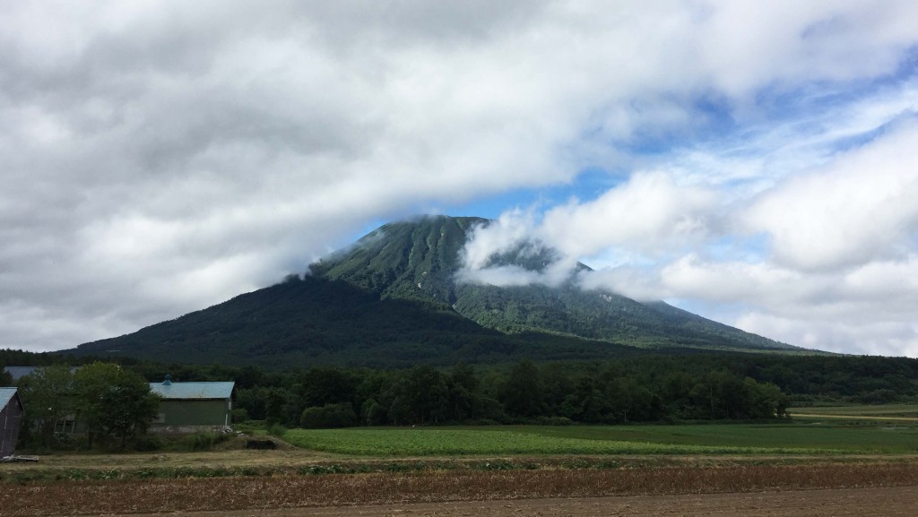 羊蹄山、夏