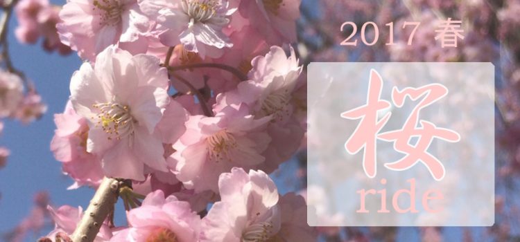 2017年4.5月の開催スケジュール