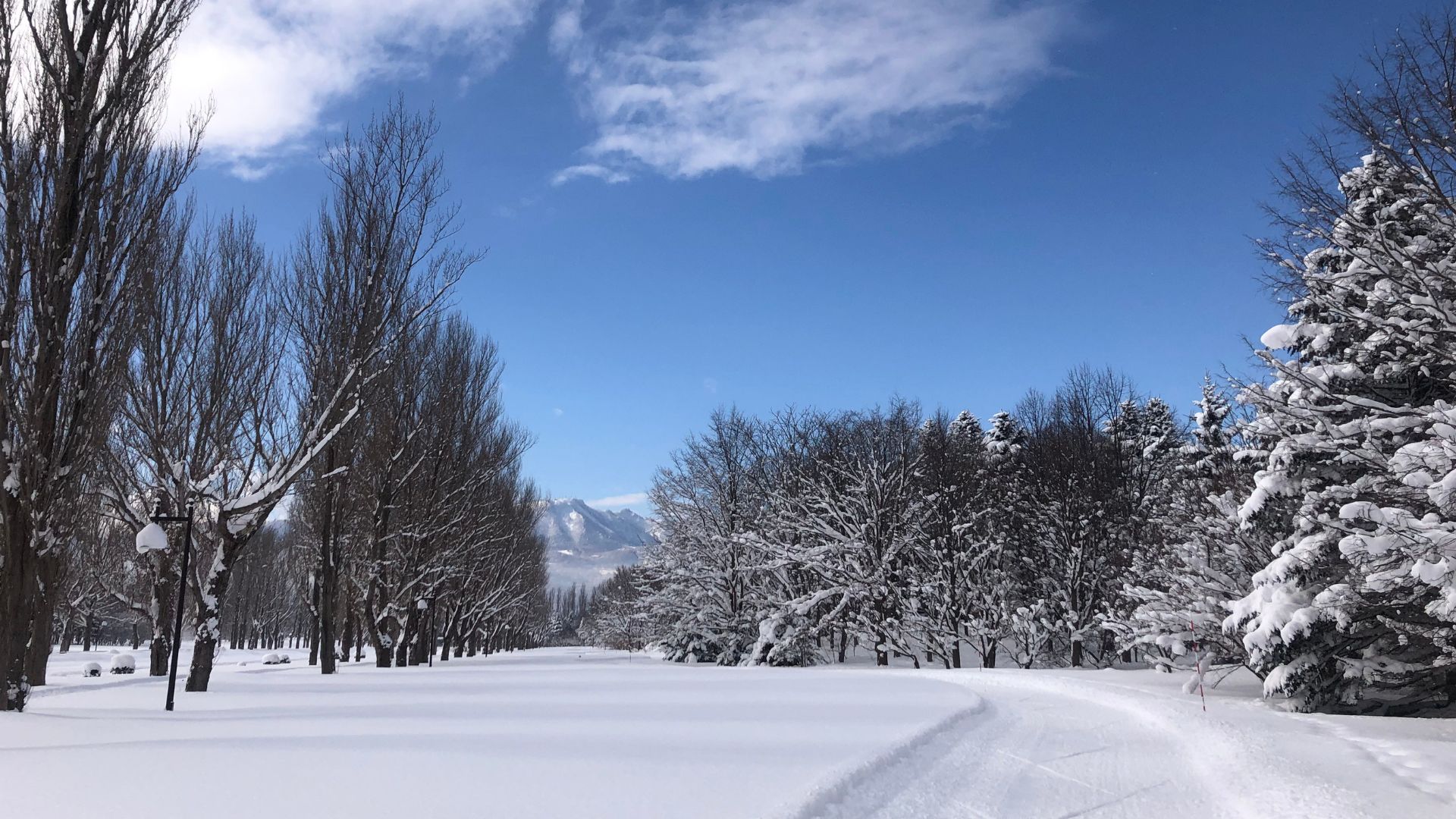 大人になってはじめるクロスカントリースキー／花サイクルクラブ