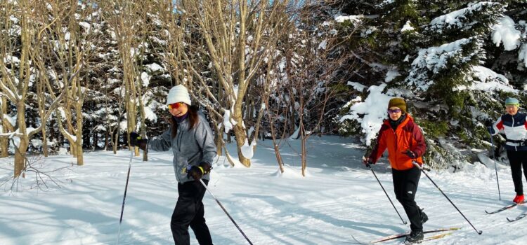 ’26/2/22(日) 開催 第1回滝野スキーハイキング11km_2026 TAKINO SKI HIKING 11km(定員:30名) ’26/2/22(日) 開催 第1回滝野スキーハイキング11km_2026 TAKINO SKI HIKING 11km(定員:30名)